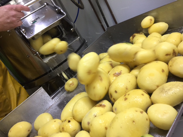 New Season Agria Potatoes